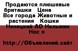 Продаются плюшевые бриташки › Цена ­ 2 500 - Все города Животные и растения » Кошки   . Ненецкий АО,Нельмин Нос п.